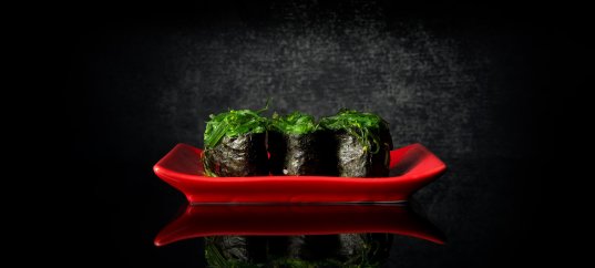 Кроссворд по биологии: Роль водорослей в природе и жизни человека (5-6 класс)