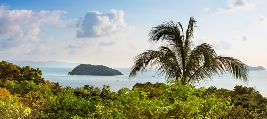 Кроссворд по окружающему миру: Чудо южной природы (4 класс)