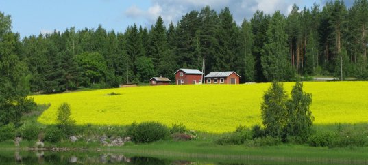 Кроссворд по окружающему миру: Родной край – часть большой страны (4 класс)