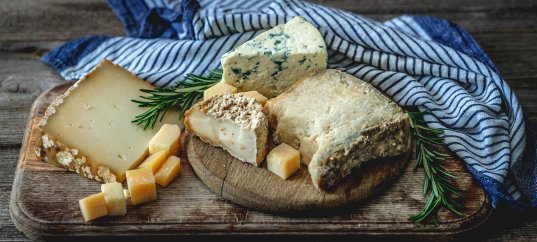 Кроссворд по биологии: Плесневые грибы (5-6 класс)