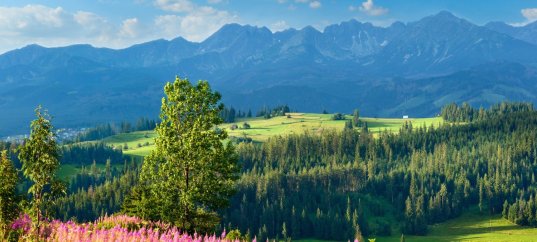 Кроссворд по окружающему миру: Что такое экология (3 класс)