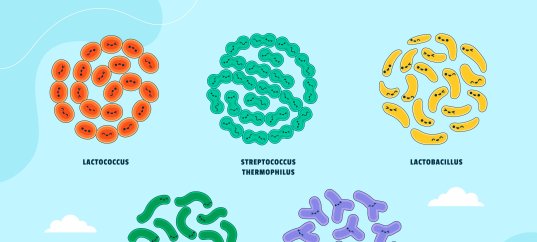 Кроссворд по биологии: Строение бактерий (5-6 класс)