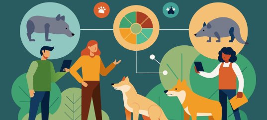 Кроссворд по биологии: История изучения животных (8 класс)