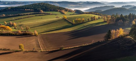 Тест по географии: Земледелие (10 класс)