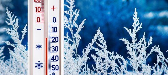 Тест по окружающему миру: Как измерить температуру? (2 класс)