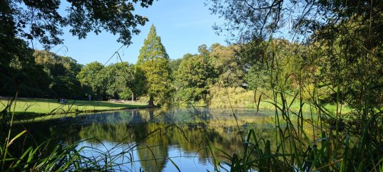 Тест по биологии: Среда обитания (8 класс)