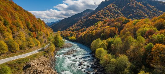Тест по окружающему миру: Путешествие по югу России (4 класс)