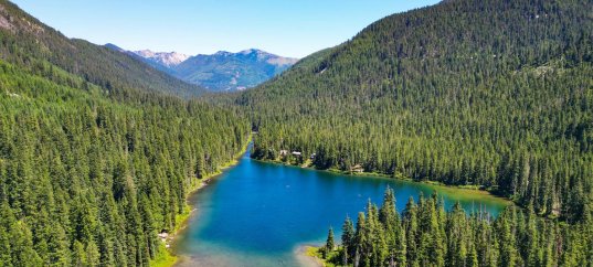 Тест по географии: Западная Сибирь (9 класс)