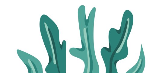 Тест по биологии: Строение водорослей (5-6 класс)