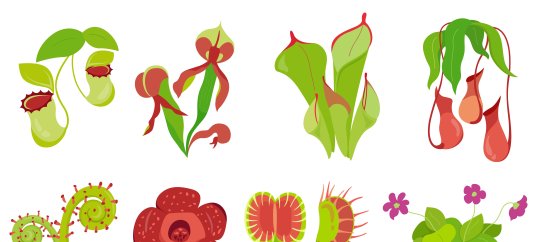 Тест по биологии: Органы растения (6 класс)