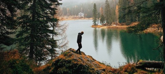 Тест по географии: В чём значение биосферы для человека (5-6 класс)