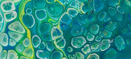 Тест по биологии: Клеточное строение листа (5-6 класс)