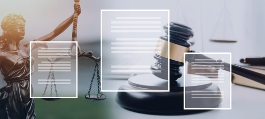 Викторина по обществознанию: Субъекты уголовного процесса (11 класс, углублённый уровень)