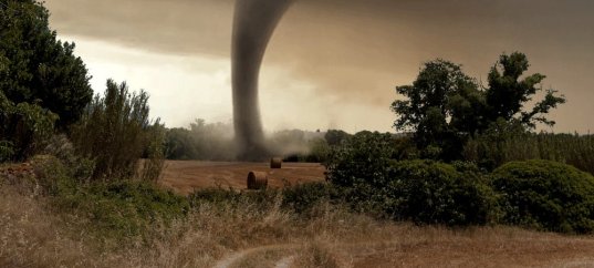 Тест по ОБЖ: Чрезвычайные ситуации природного характера (7 класс)