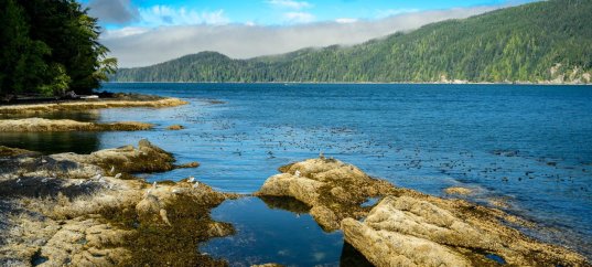 Тест по географии: Какова роль океанов, морей и рек в нашей жизни (5-6 класс)