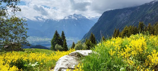 Тест по географии: Природное и культурное наследие (5-6 класс)