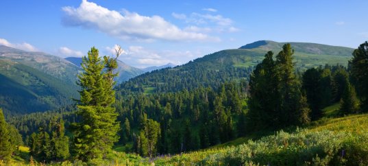 Тест по окружающему миру: Путешествие по Уралу (4 класс)