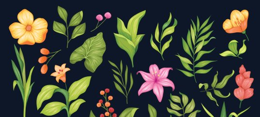 Тест по биологии: Признаки двудольных и однодольных растений (5-6 класс)