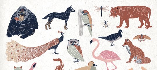 Тест по биологии: Царство Животные (5 класс)