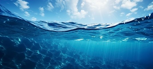 Тест по окружающему миру: Красота воды (2 класс)