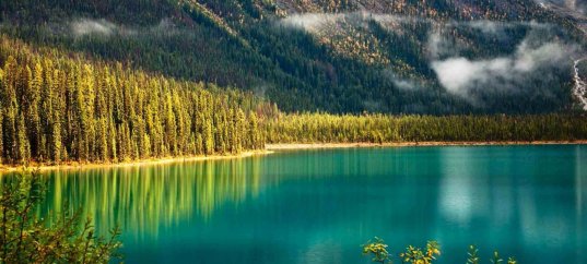 Тест по географии: Природные комплексы (10 класс)