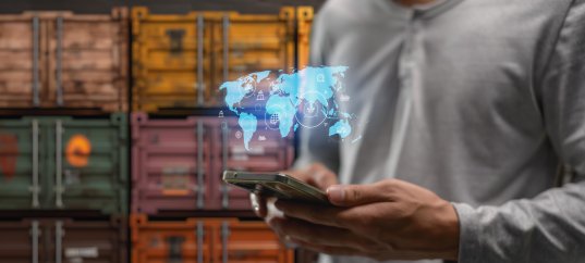 Викторина по обществознанию: Внешняя торговля: экспорт и импорт товаров и услуг (10 класс, углублённый уровень)