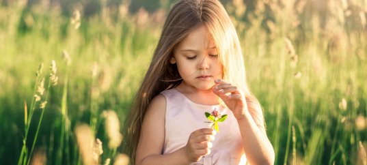 Тест по окружающему миру: Будь природе другом! (2 класс)