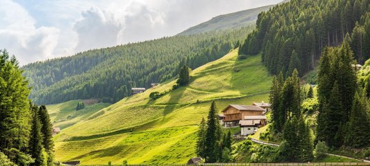 Тест по географии: Какие формы рельефа встречаются в горах и на равнинах (5-6 класс)