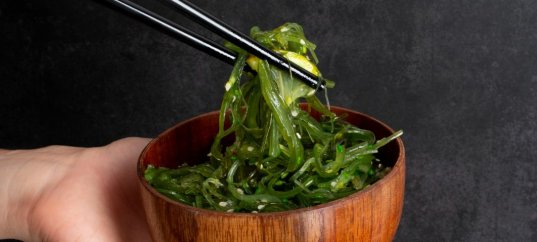 Тест по биологии: Роль водорослей в природе и жизни человека (5-6 класс)