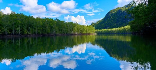 Тест по окружающему миру: Водные богатства (2 класс)