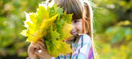 Тест по окружающему миру: Природа и человек (3 класс)