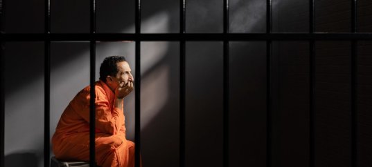 Тест по обществознанию: Виды наказаний (7 класс)