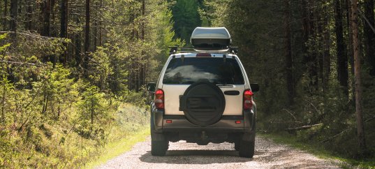 Тест по окружающему миру: Природа и рукотворный мир (2 класс)