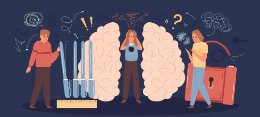 Викторина по физкультуре: Мозг и нервная система (1-4 класс)