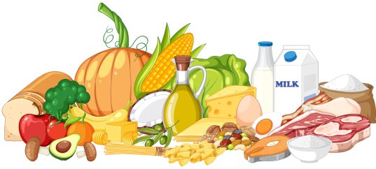 Викторина по физкультуре: Пища и питательные вещества (1-4 класс)