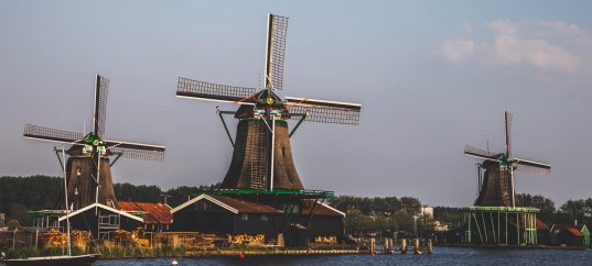 Тест по окружающему миру: Нидерланды (3 класс)