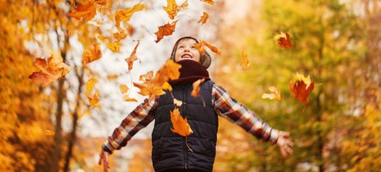 Тест по биологии: Листопад (6 класс)