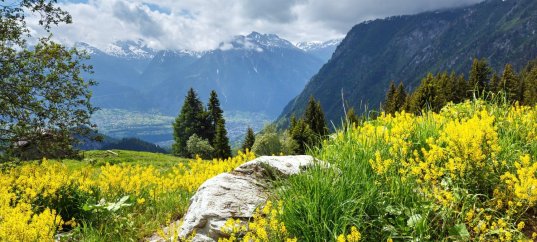 Тест по окружающему миру: Как устроен мир (3 класс)