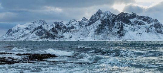 Тест по географии: Каковы особенности природы Северного Ледовитого океана (7 класс)