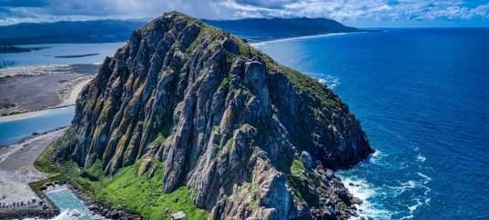 Тест по географии: Океания. Обособленный мир островов (11 класс)