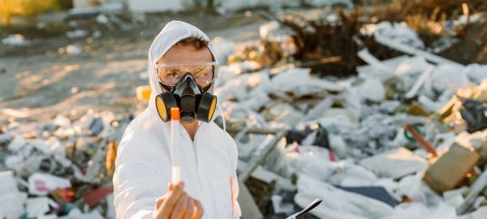 Тест по географии: Экологическая проблема (11 класс)