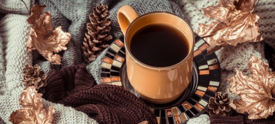 Викторина: Ноябрь — что вы знаете о третьем месяце осени?