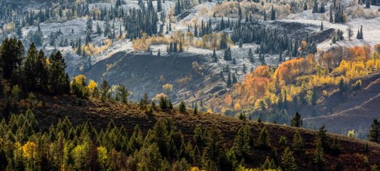 Тест по географии: Восточная Сибирь (9 класс)