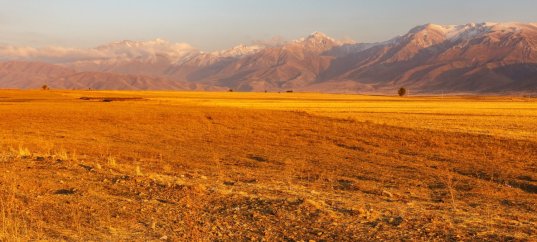 Тест по географии: Какие бывают равнины (5-6 класс)