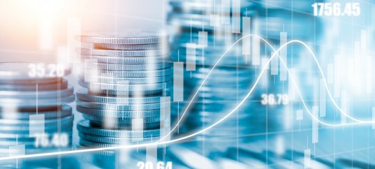 Тест по географии: Свободные экономические зоны (10 класс)