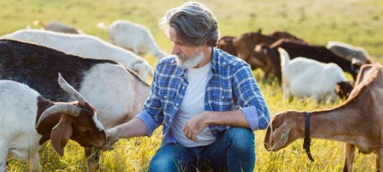 Тест по географии: Как возникли земледелие и животноводство (7 класс)