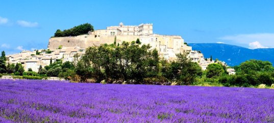 Тест по географии: Франция. Внутренние различия (11 класс)