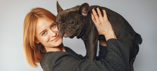 Тест по биологии: Животные и человек (8 класс)