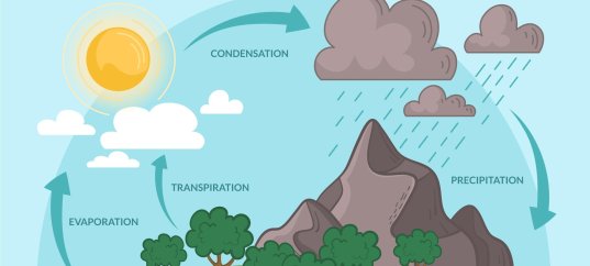 Тест по географии: Как происходит круговорот веществ в биосфере (5-6 класс)