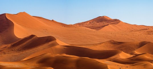 Тест по окружающему миру: Пустыни (4 класс)